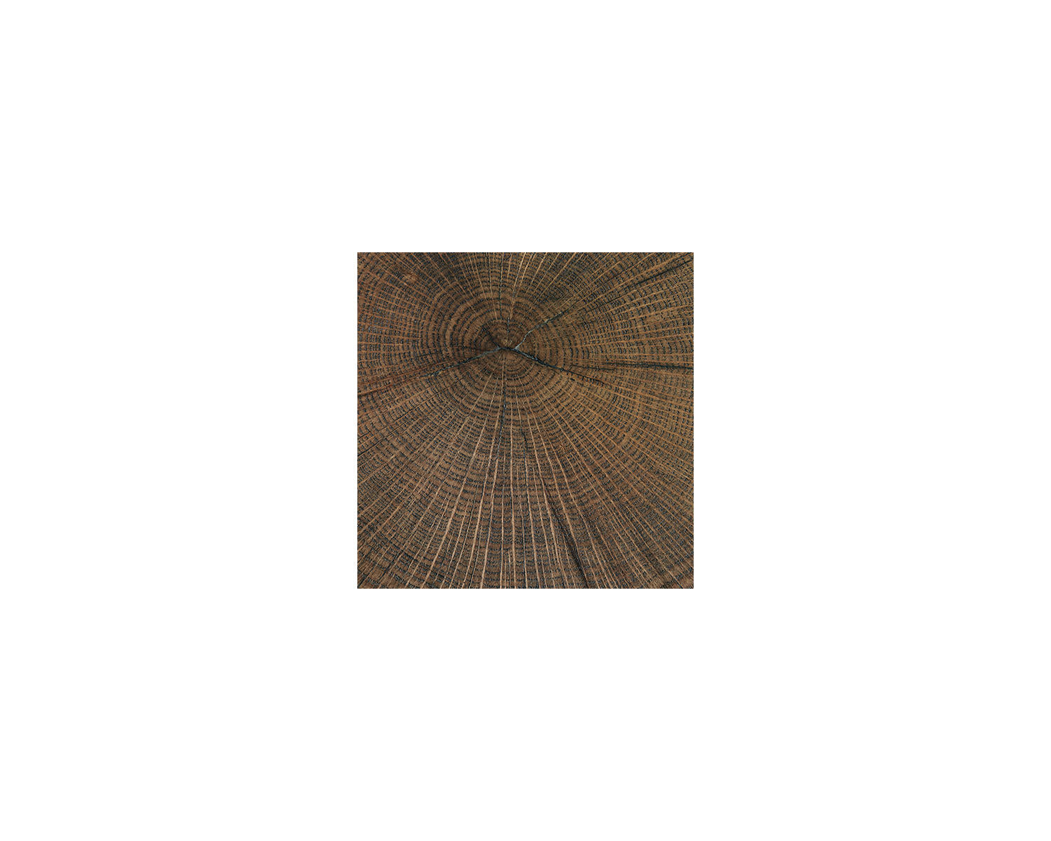 Cammund Accent Table (Set of 2)