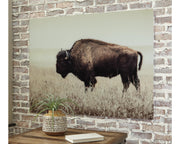 Brutus Wall Art