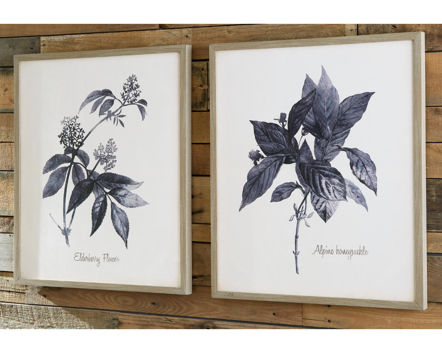 Efren Wall Art (Set of 2)