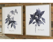 Efren Wall Art (Set of 2)
