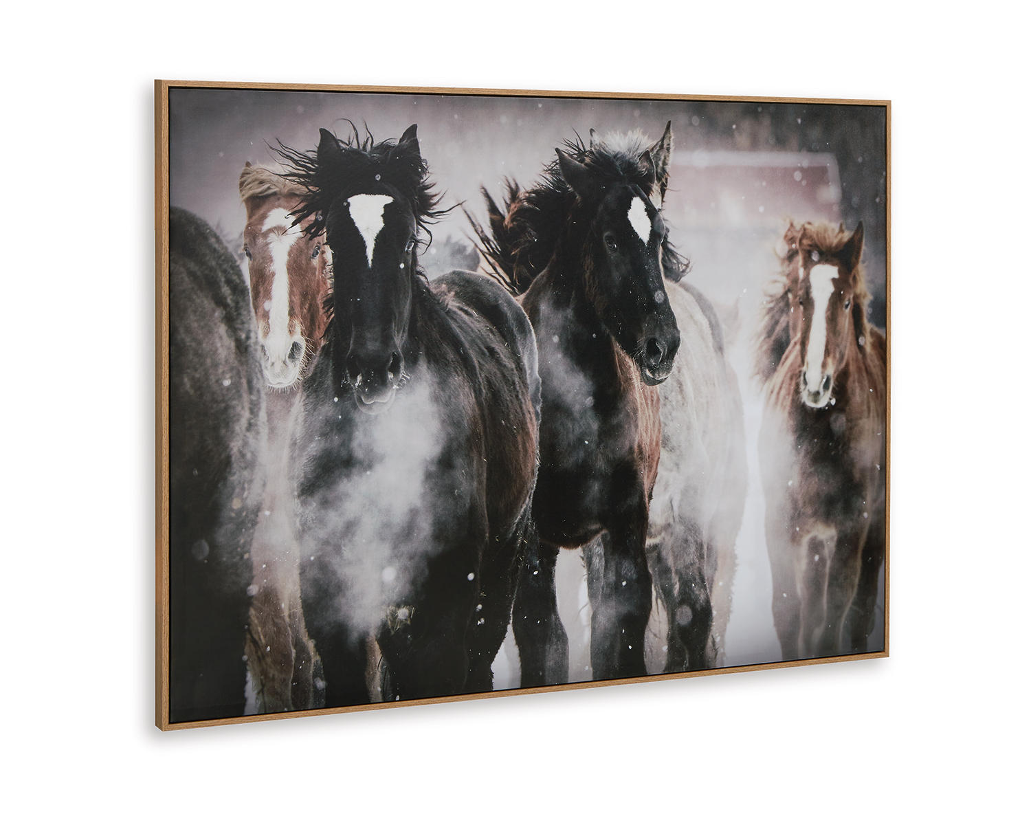 Chaseburn Wall Art
