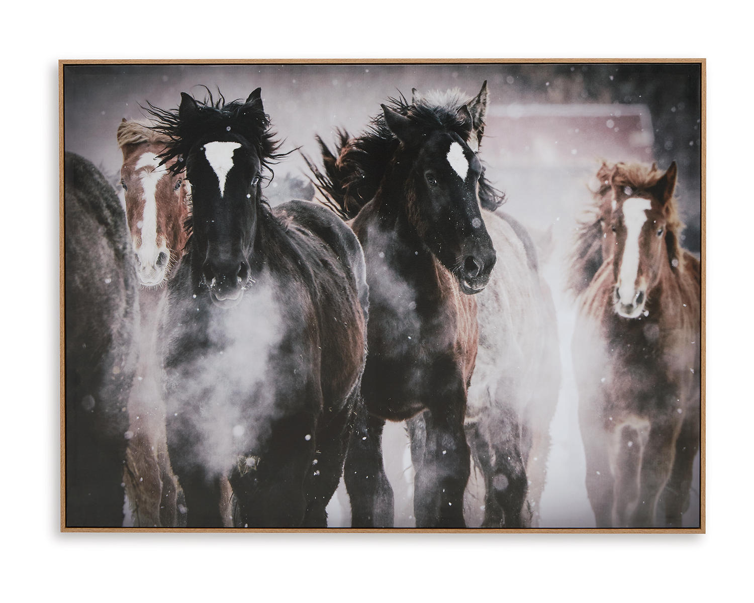 Chaseburn Wall Art