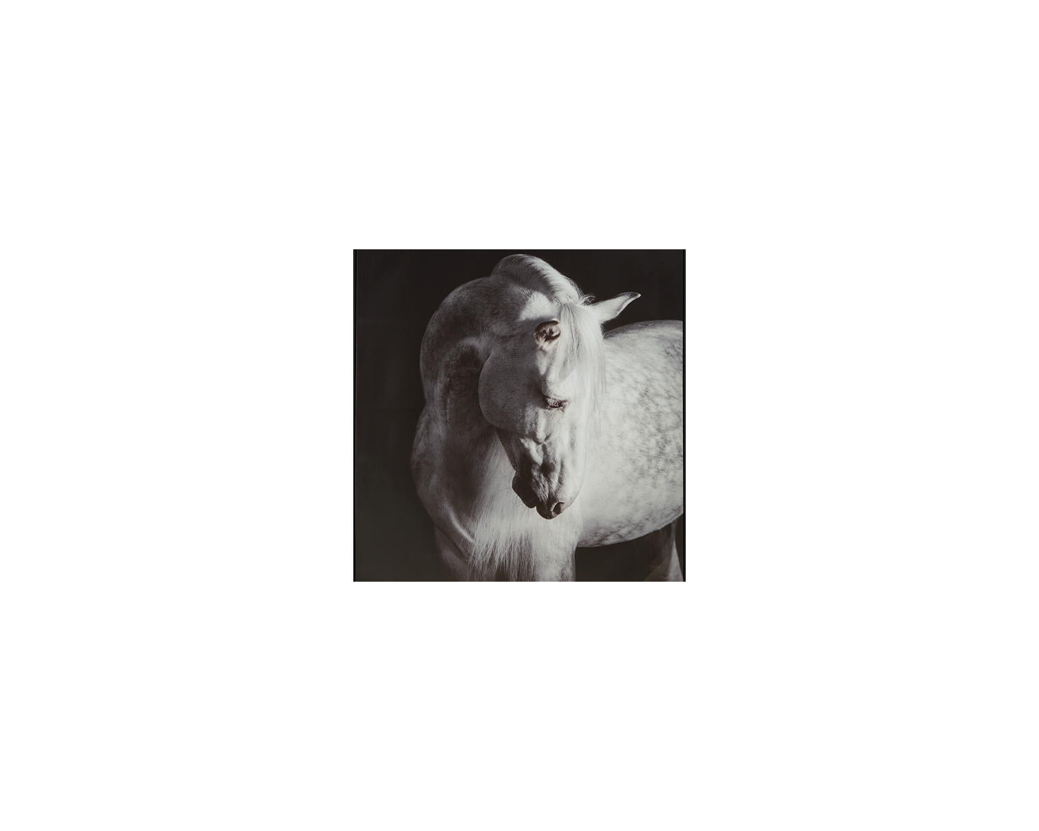 Archerwick Wall Art