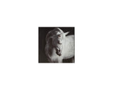 Archerwick Wall Art