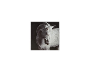 Archerwick Wall Art