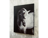 Archerwick Wall Art