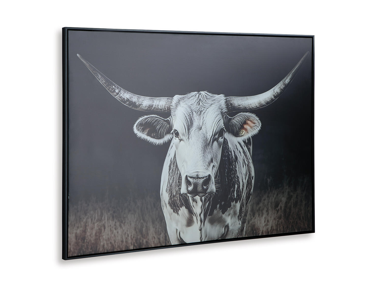 Harlandale Wall Art