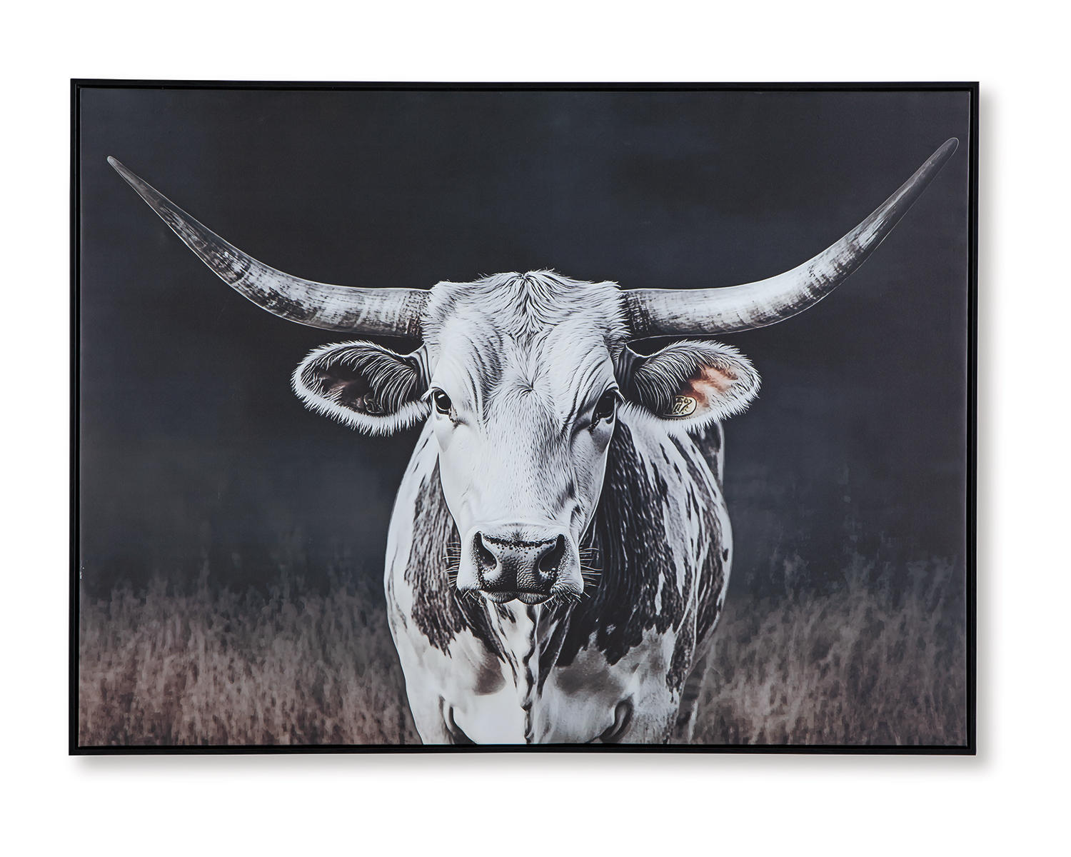 Harlandale Wall Art