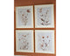 Arte de pared Chettings (juego de 4)