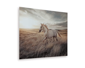 Errolville Wall Art