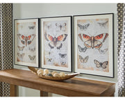 Jossletts Wall Art (Set of 3)