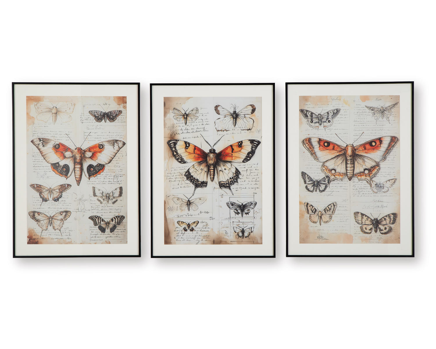 Jossletts Wall Art (Set of 3)