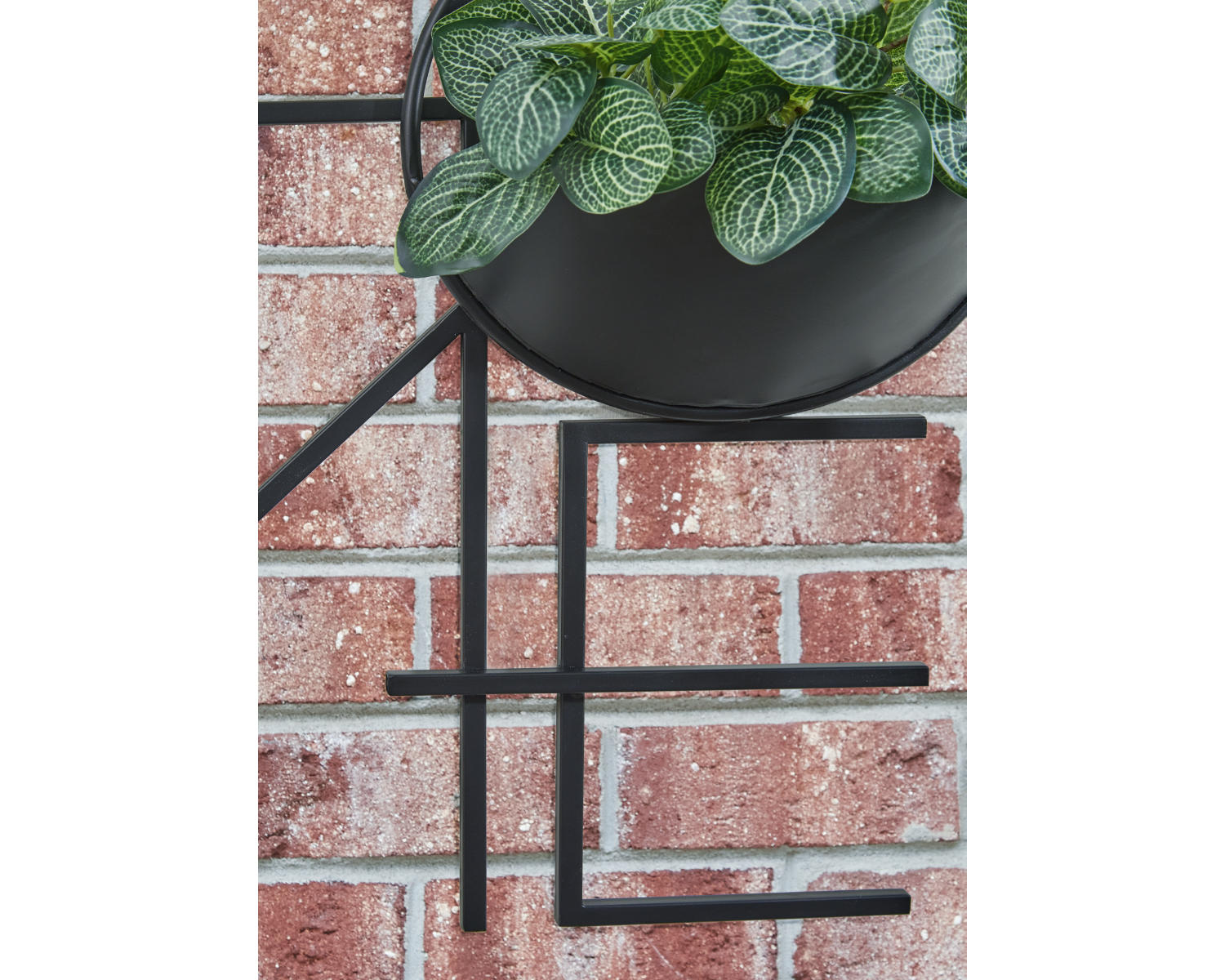 Dunster Wall Planter On Stand