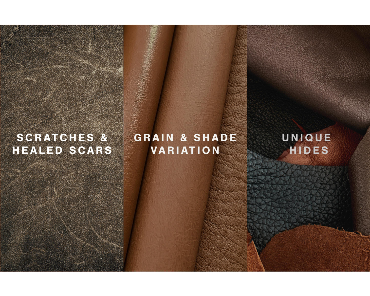 Genoa Queen Sofa Sleeper