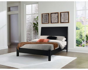 Danziar Queen Panel Bed