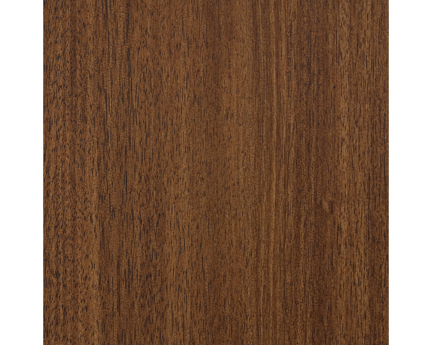 Lyncott Dining Server