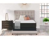 Limited Edition Firm Twin XL Mattress