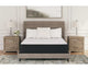 Limited Edition Plush Twin XL Mattress