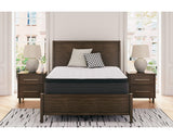 Limited Edition PT Full Mattress