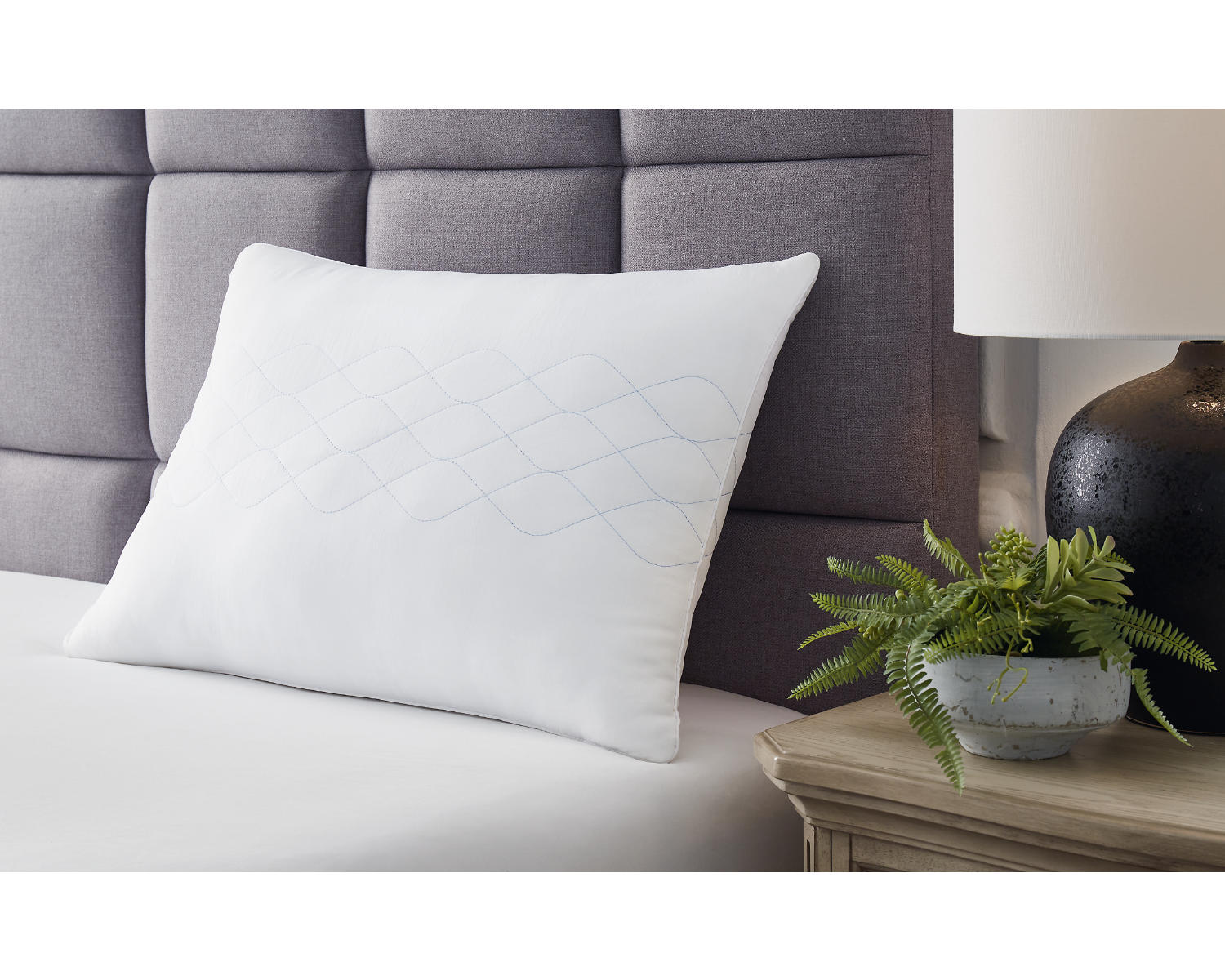 Zephyr 2.0 Comfort Pillow (4/Case)