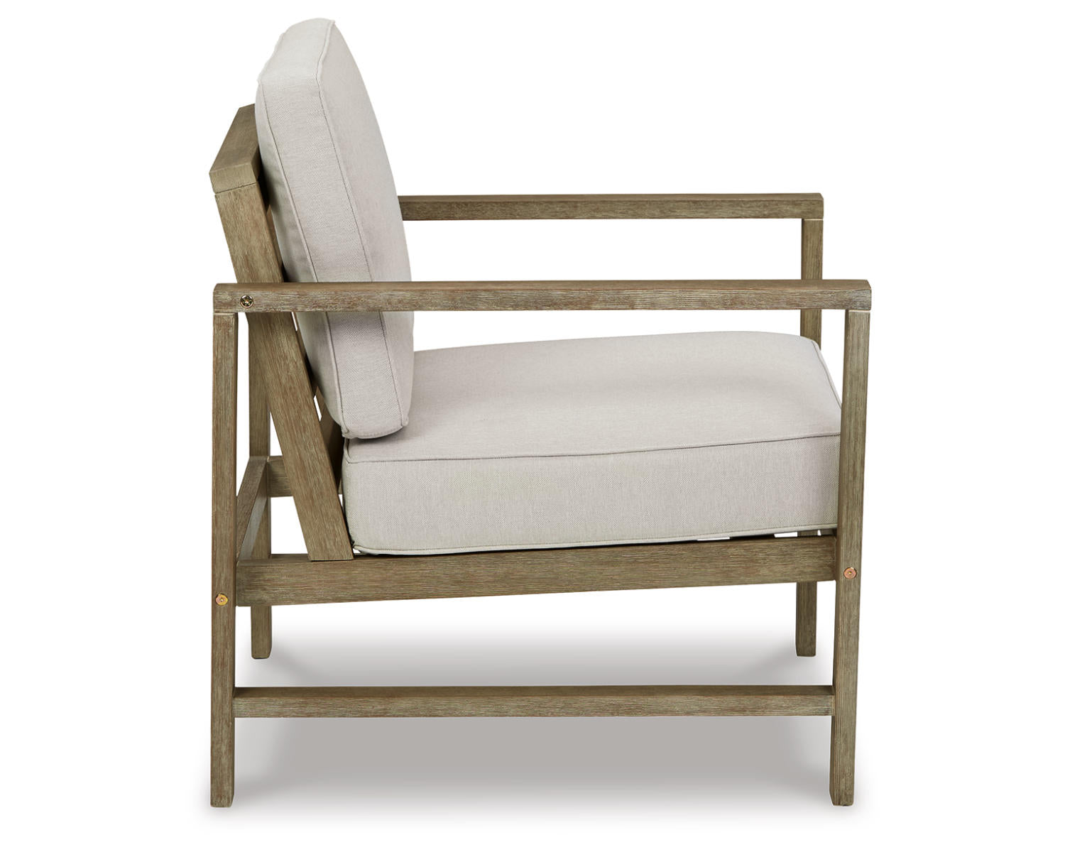 Fynnegan Lounge Chair with Cushion (Set of 2)