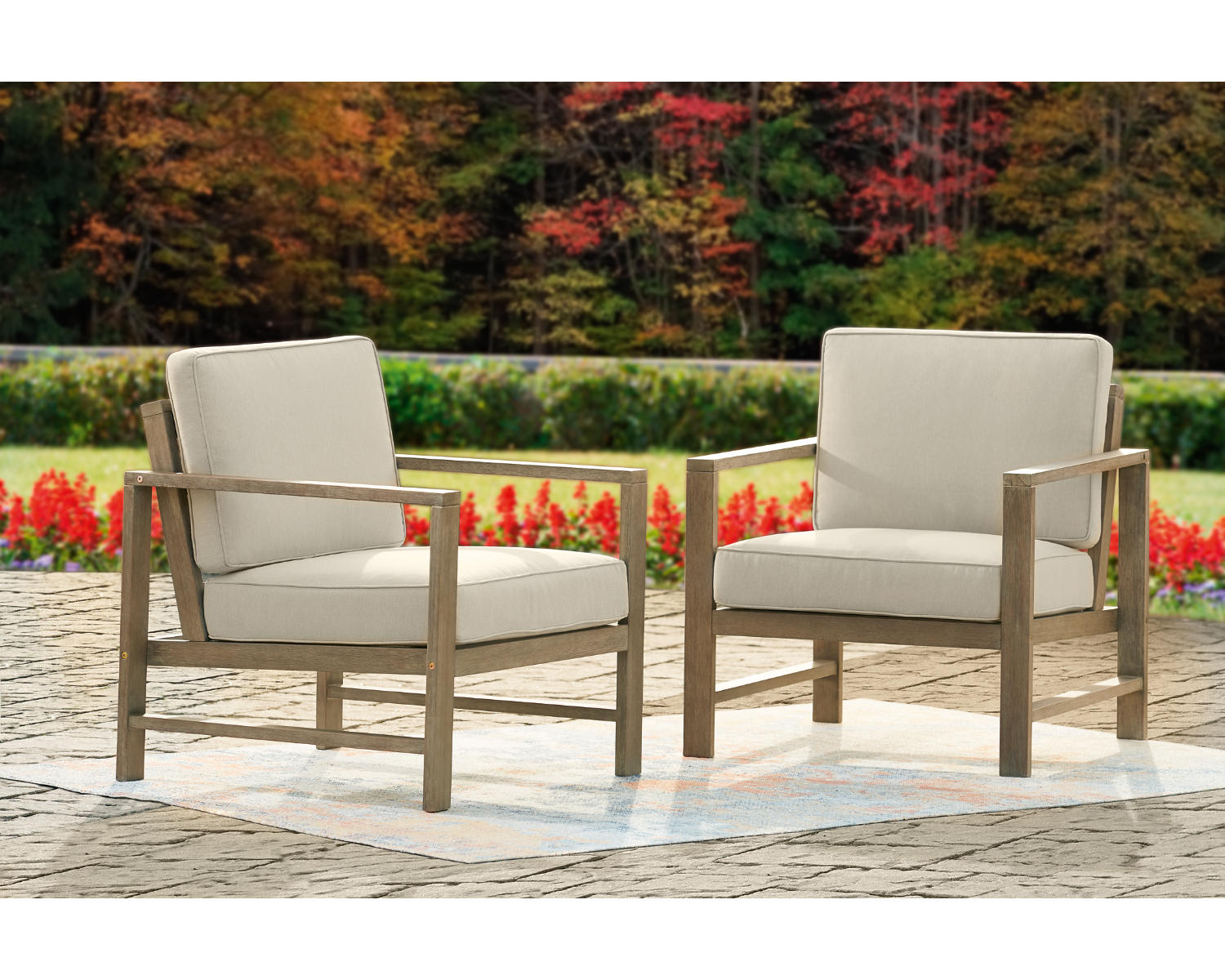Fynnegan Lounge Chair with Cushion (Set of 2)
