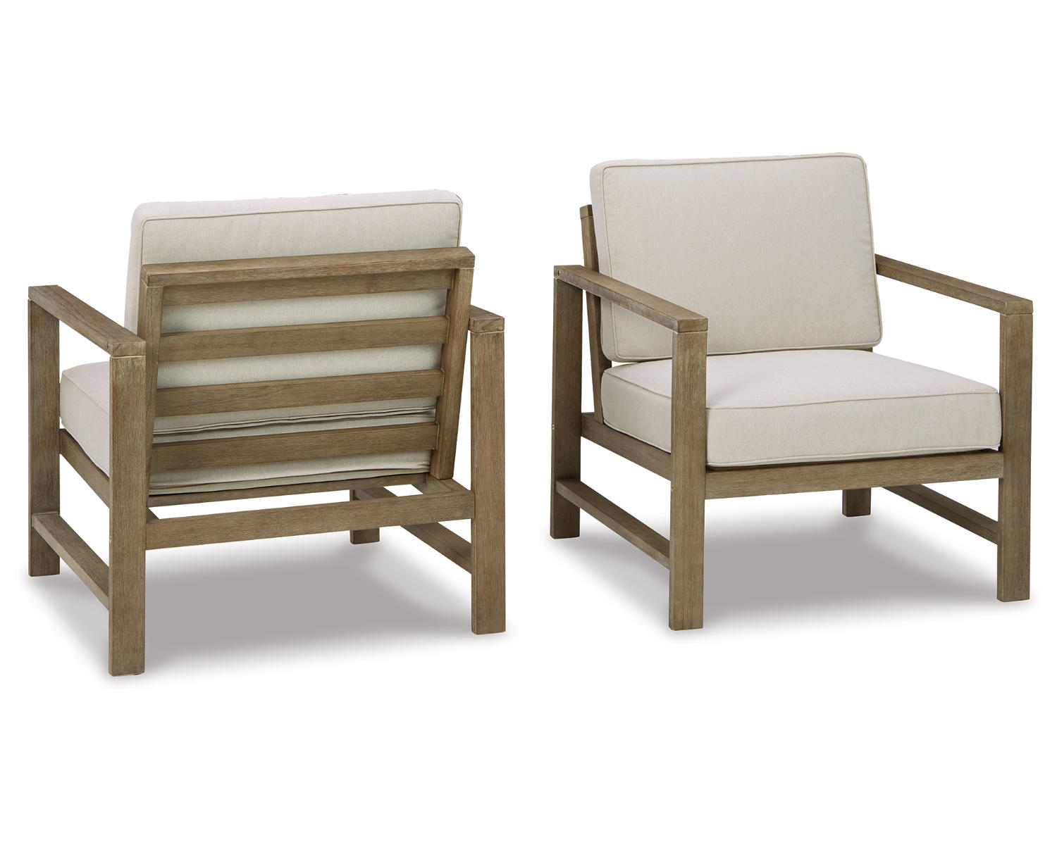 Fynnegan Lounge Chair with Cushion (Set of 2)
