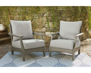 Visola Lounge Chair with Cushion (Set of 2)
