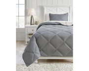 Rhey 2-Piece Twin Comforter Set