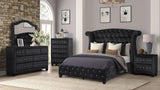 Sophia Collection