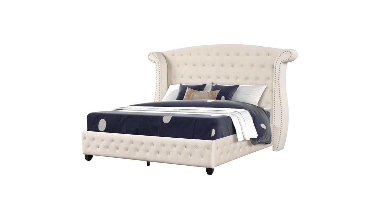 Sophia Collection