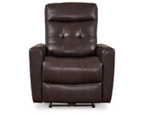 Pisgham Power Recliner