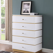 RANA CHEST