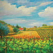 Summer In Napa