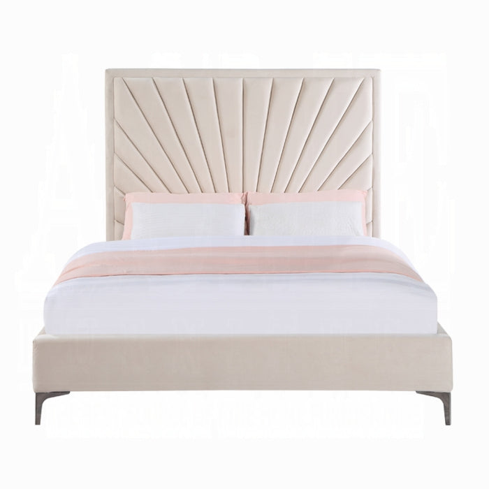 Faiz Queen Bed