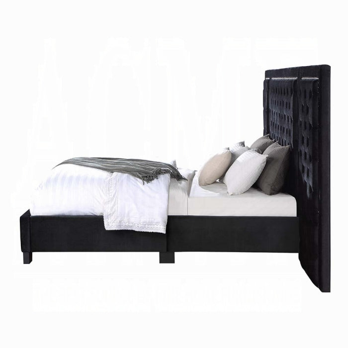 Damazy Queen Bed