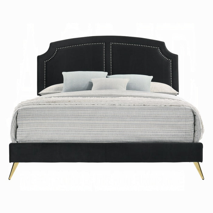 Zeena Queen Bed