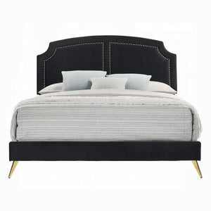 Zeena EK Bed
