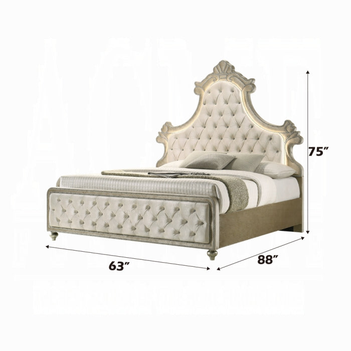 Lucienne Queen Bed W/LED