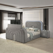 Shelyn Queen Bed w/Led, TV Stand, Fireplace & Bluetooth