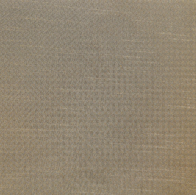 Echo