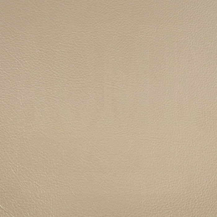 Danae Side Chair (Set-2)