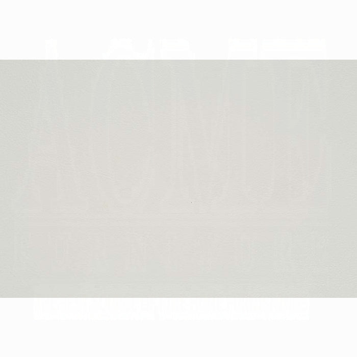 Adara Arm Chair (Set-2)